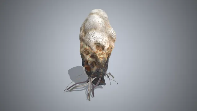 黑神话  虫卵  游戏建模  道具  pbr模型