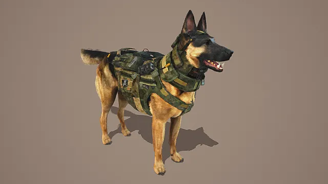   写实风格3D军犬动物模型，创意设计（写实军犬、3D模型、迷彩战术背心、灰色背景、独特装备 ）