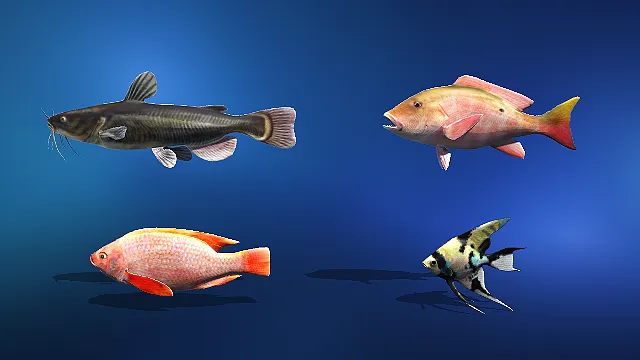 写实风多品类观赏淡水鱼组合 3D 模型