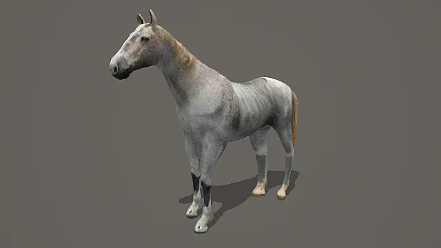 超写实家畜坐骑素材斑纹马3D模型