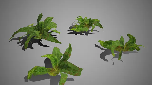 仿真  热带蕨类植物  形态各异  原生质感  姿态错落  自然生长  雨林主题