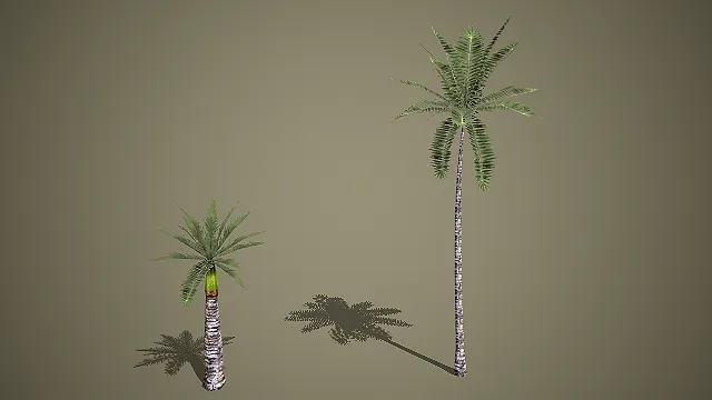 两款低模棕榈树 3D 模型 热带场景高矮椰树素材包