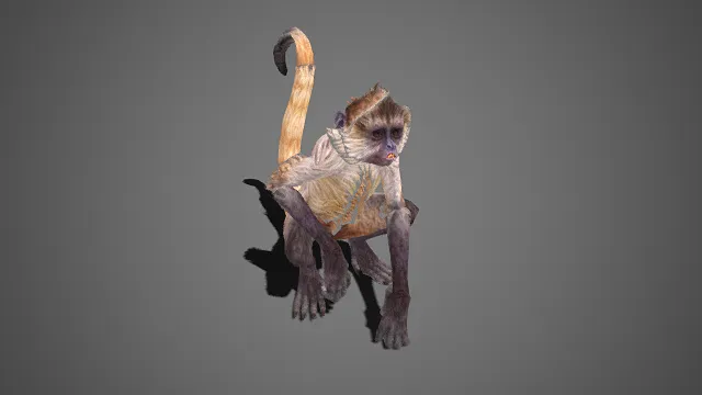 写实  长尾猕猴  棕白毛发  粗糙纹理  生动逼真  警惕感  动物题材