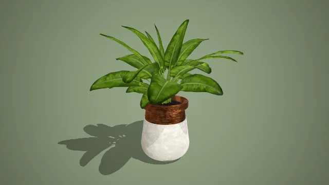 写实风格水泥木圈盆阔叶观叶植物 3D 室内装饰盆栽模型