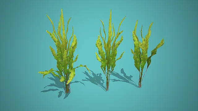 翠绿长叶状多形态海洋水草组合 3D 模型