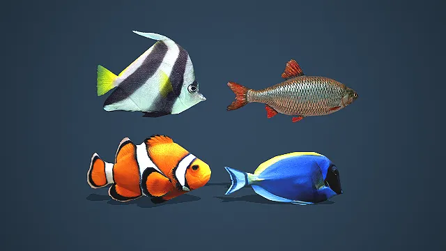 海洋生物  珊瑚礁鱼类  热带鱼群  海洋生态