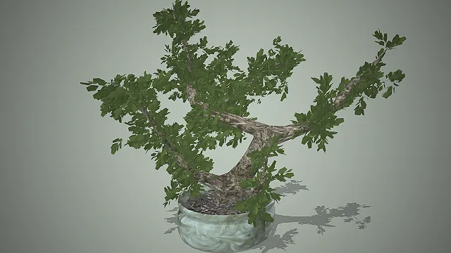 盆栽绿植  游戏场景  装饰摆件  室内装饰