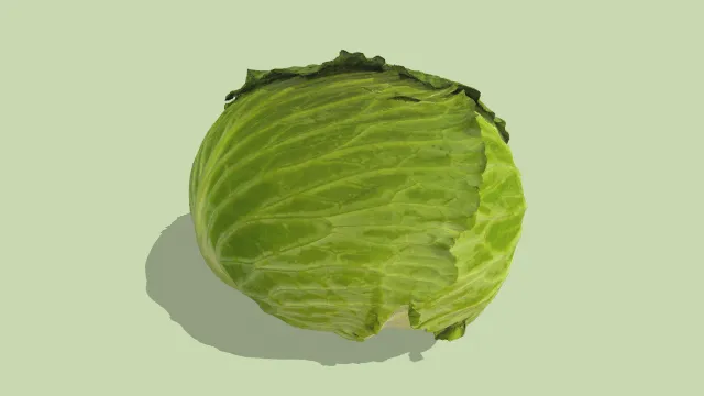 植物卷心菜蔬菜食物