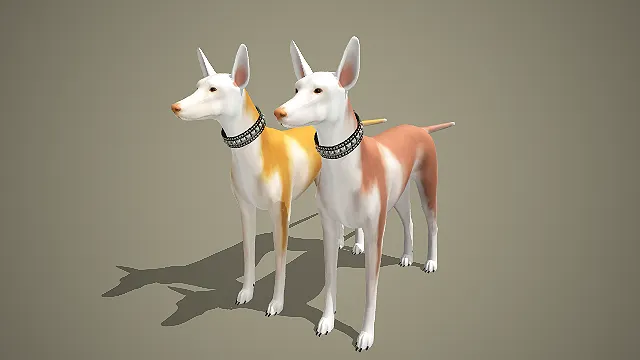 双色灵缇犬带铆钉项圈 3D 模型 写实宠物犬角色素材合集