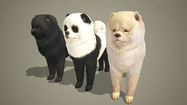 三色松狮成犬含熊猫配色 3D 模型 大型萌宠犬角色素材合集