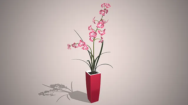 陶瓷花盆  粉色蝴蝶兰  修长花茎  新中式轻奢风