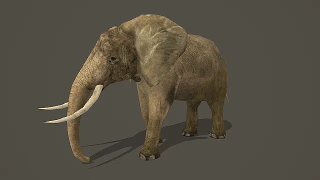 超写实陆生巨兽素材大象3D模型