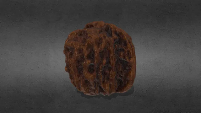 闷尖狮子头核桃_UV