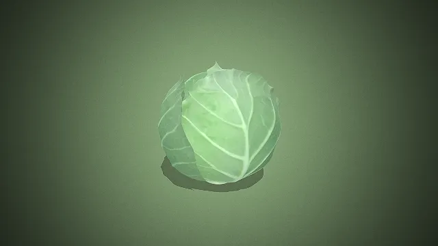 一颗写实风格的卷心菜的3D模型