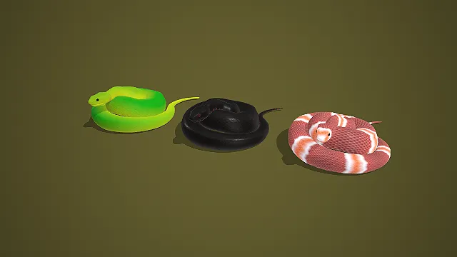 绿黑粉白纹多色蜷曲蛇类组合 3D 模型