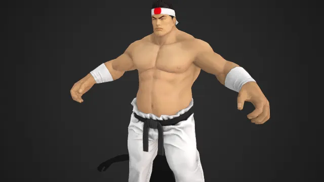 传统武道风格  红纹头带  壮硕肌肉  木屐  经典武道装扮  格斗