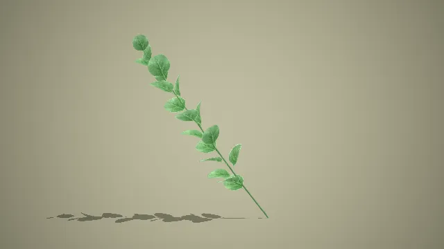 单枝尤加利叶（圆叶桉）清新绿植枝条 3D 模型