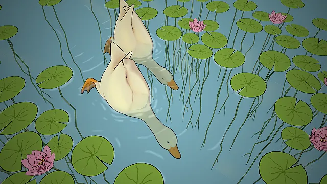 荷塘场景  荷叶睡莲  自然水景  水生植物组合