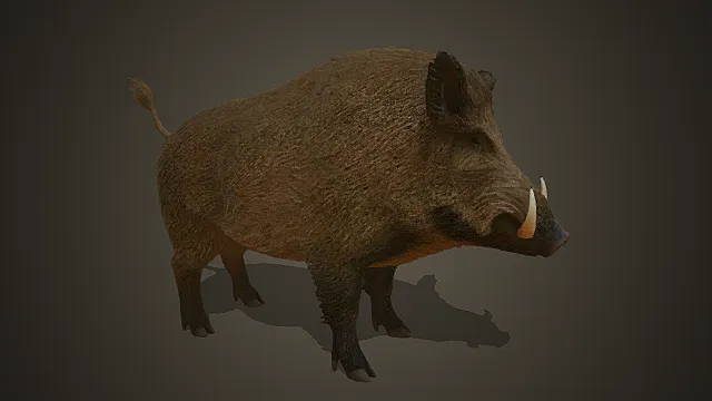 写实风野猪模型