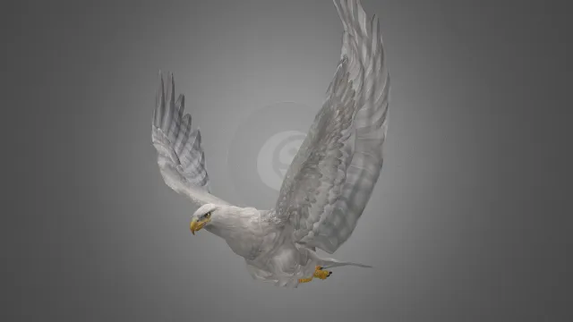 飞行中的白色大鹰写实风格制作
