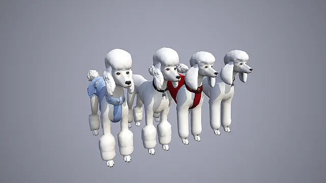 四色贵宾犬含服饰款 3D 模型 欧陆造型宠物犬角色素材合集