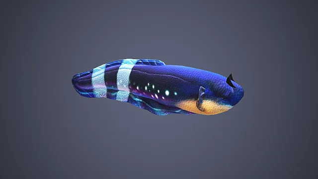 发光鳐鱼  条纹背鳍  海洋生物  斑点设计