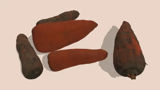 带点泥土的胡萝卜蔬菜食物