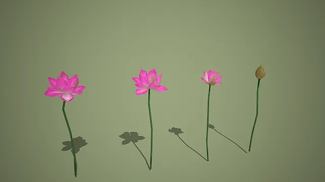 写实风格粉莲花苞渐变组合 3D 中式水景装饰道具模型