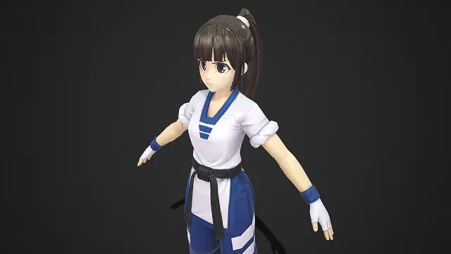 动漫风格  3D 少女角色建模  马尾辫  武道服  格斗类  小清新  武道少女