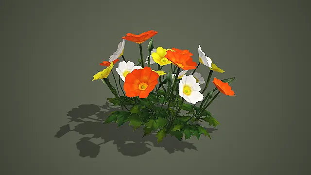 低模橙白黄三色虞美人 3D 模型 游戏场景花卉素材