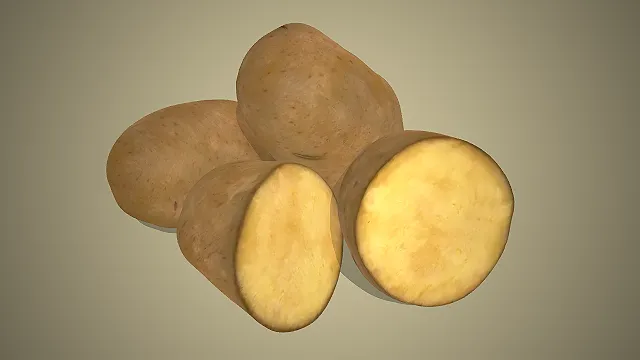 一个写实风格的美食类场景的3D土豆模型