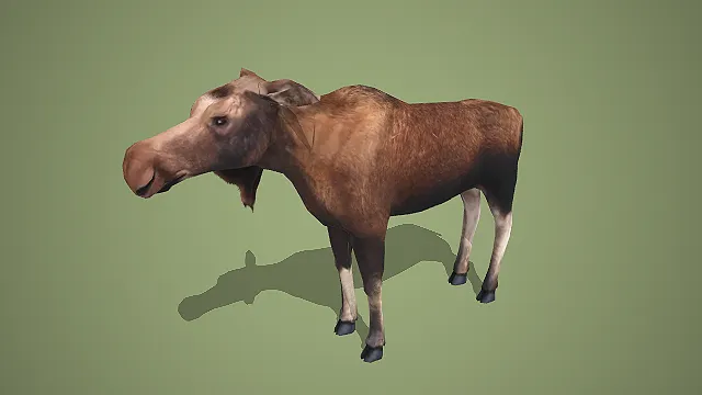卡通风格牛模型：棕色皮毛与可爱形象