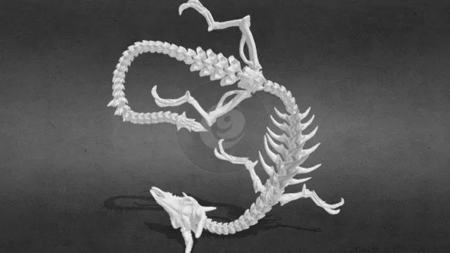 长长的骨龙化石