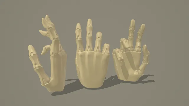 3D卡通风格骨骼手掌模型组，创意设计（3D骨骼手掌、卡通风格、解剖教学风，手关节主题）