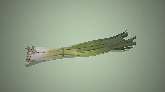 中式烹饪中提香增味的核心调味大葱的3D模型