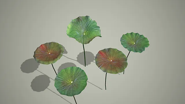 写实风格红绿渐变荷叶组合 3D 中式水景装饰道具模型
