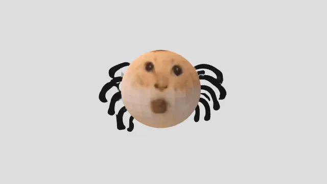 耄耋蜘蛛
