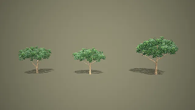 三款写实阔叶乔木 3D 模型 游戏场景绿化树木素材包
