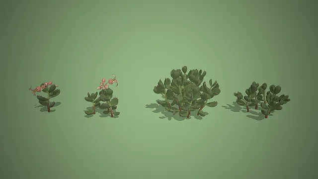 一套写实风格的室内盆栽，景天科多肉3D模型组