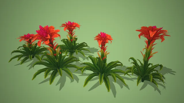 橙红凤梨花卉组合带绿长叶 3D 模型