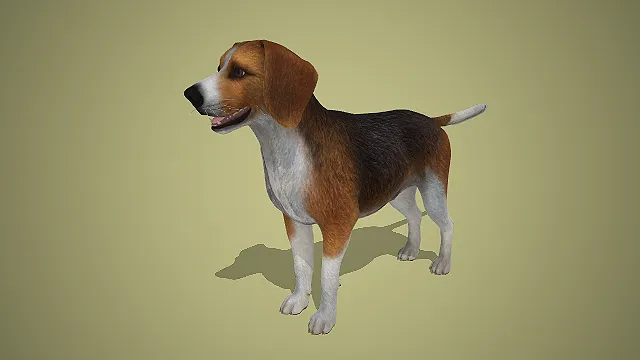 写实风三色比格犬 3D 模型