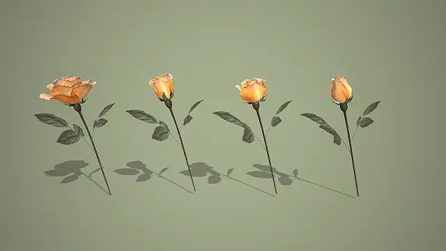 四株渐变开放形态橙色玫瑰花组合 3D 植物模型