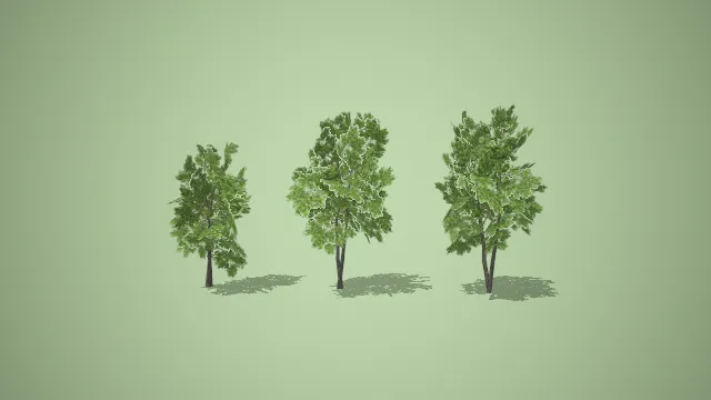 多形态混生阔叶树组合 3D 低多边形户外景观场景装饰模型