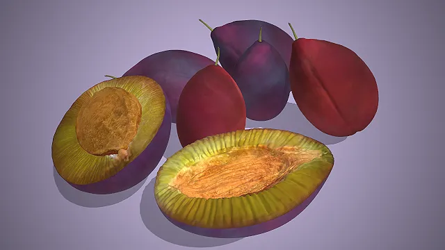 一个写实风格的常见润肠功效水果西梅的3D模型