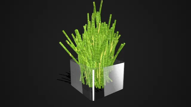 装饰性绿植摆件  透明立方体玻璃缸  仿真草茎  清新简约  居家桌面  办公工位  生活美学