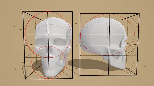 3D卡通风格头骨解剖模型，创意设计（3D骷髅头、卡通风格、写实风，物品设计主题）