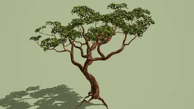 写实风格艺术造型树3D模型