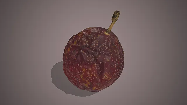 百香果  食材模型  热带水果  饮品原料