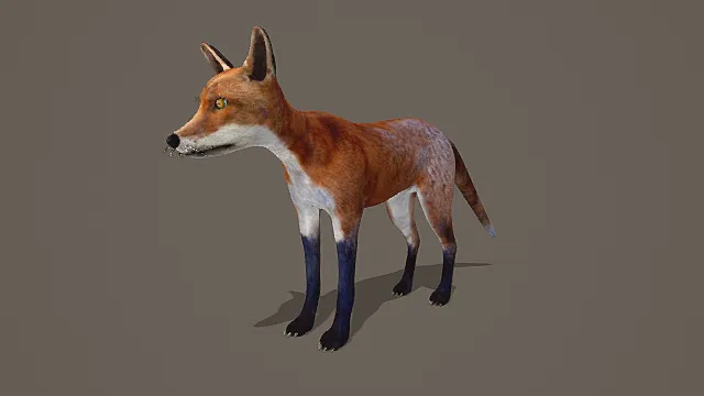 奇幻灵幻生物赤狐3D模型