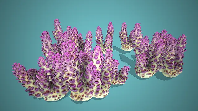 紫绿斑点簇状枝形海洋珊瑚组合 3D 模型